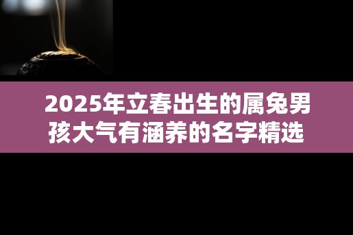 2025年立春出生的属兔男孩大气有涵养的名字精选