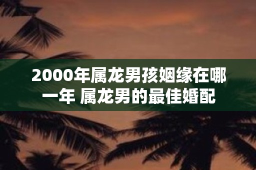 2000年属龙男孩姻缘在哪一年 属龙男的最佳婚配