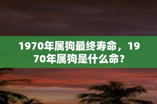 1970年属狗最终寿命，1970年属狗是什么命？