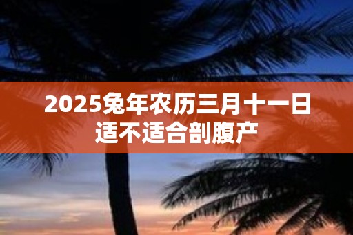 2025兔年农历三月十一日适不适合剖腹产