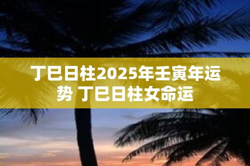 丁巳日柱2025年壬寅年运势 丁巳日柱女命运