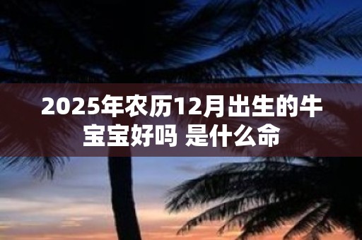 2025年农历12月出生的牛宝宝好吗 是什么命