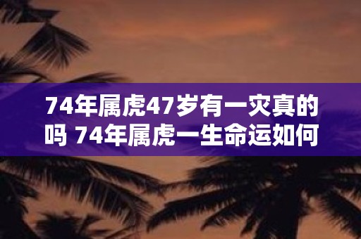 74年属虎47岁有一灾真的吗 74年属虎一生命运如何