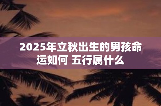 2025年立秋出生的男孩命运如何 五行属什么