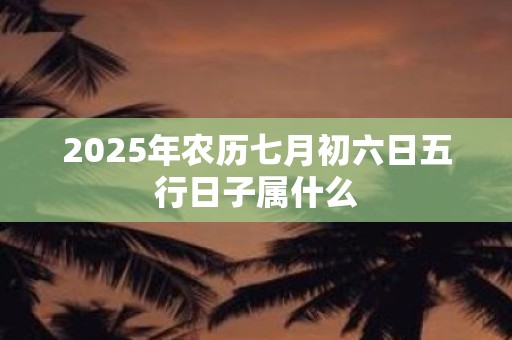 2025年农历七月初六日五行日子属什么