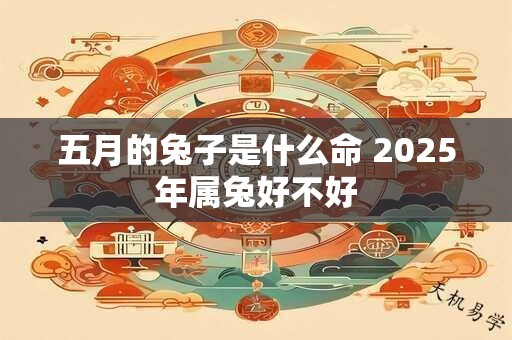 五月的兔子是什么命 2025年属兔好不好