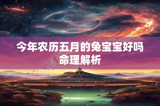 今年农历五月的兔宝宝好吗命理解析