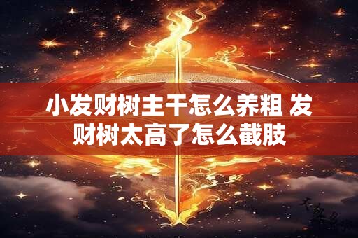 小发财树主干怎么养粗 发财树太高了怎么截肢