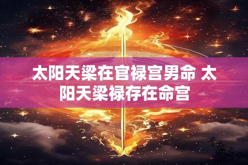 太阳天梁在官禄宫男命 太阳天梁禄存在命宫