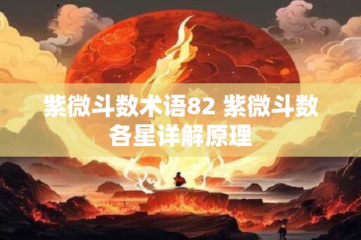 紫微斗数术语82 紫微斗数各星详解原理