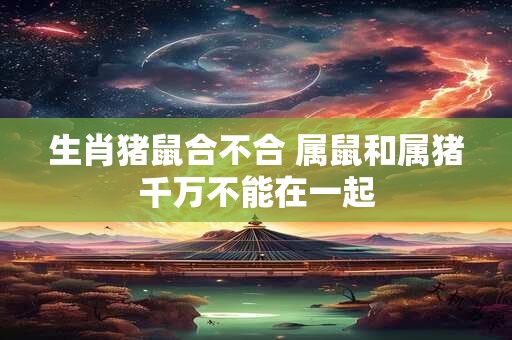 生肖猪鼠合不合 属鼠和属猪千万不能在一起