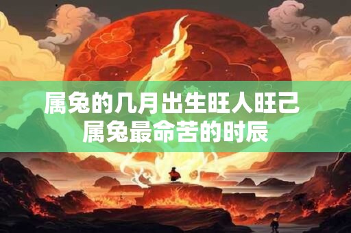 属兔的几月出生旺人旺己 属兔最命苦的时辰