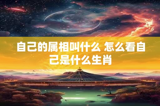 自己的属相叫什么 怎么看自己是什么生肖