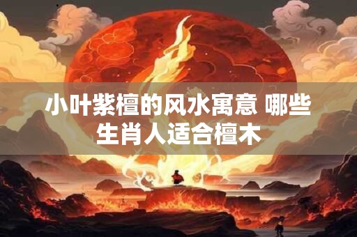 小叶紫檀的风水寓意 哪些生肖人适合檀木