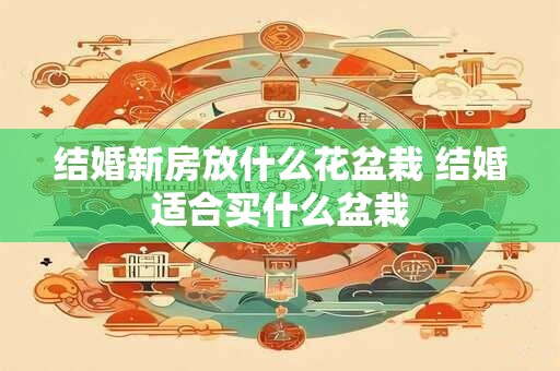 结婚新房放什么花盆栽 结婚适合买什么盆栽