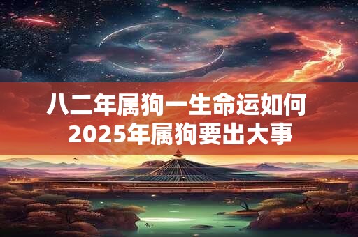 八二年属狗一生命运如何 2025年属狗要出大事