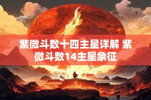 紫微斗数十四主星详解 紫微斗数14主星象征