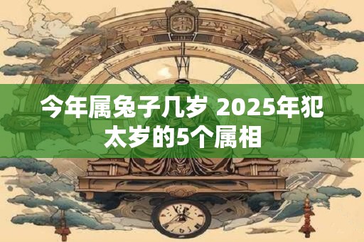 今年属兔子几岁 2025年犯太岁的5个属相