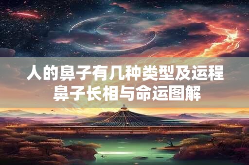 人的鼻子有几种类型及运程 鼻子长相与命运图解